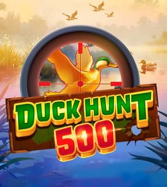 Duck Hunt 500